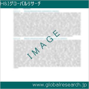 グローバルリサーチ調査レポートのイメージ